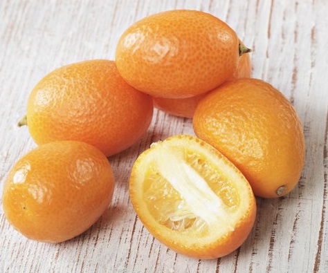 kumquat