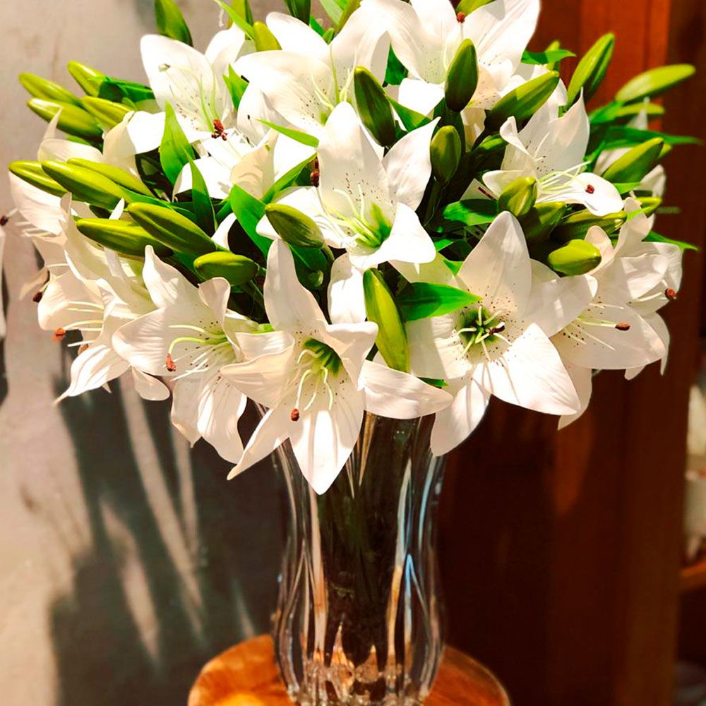 lírio branco vs rosa branca significado