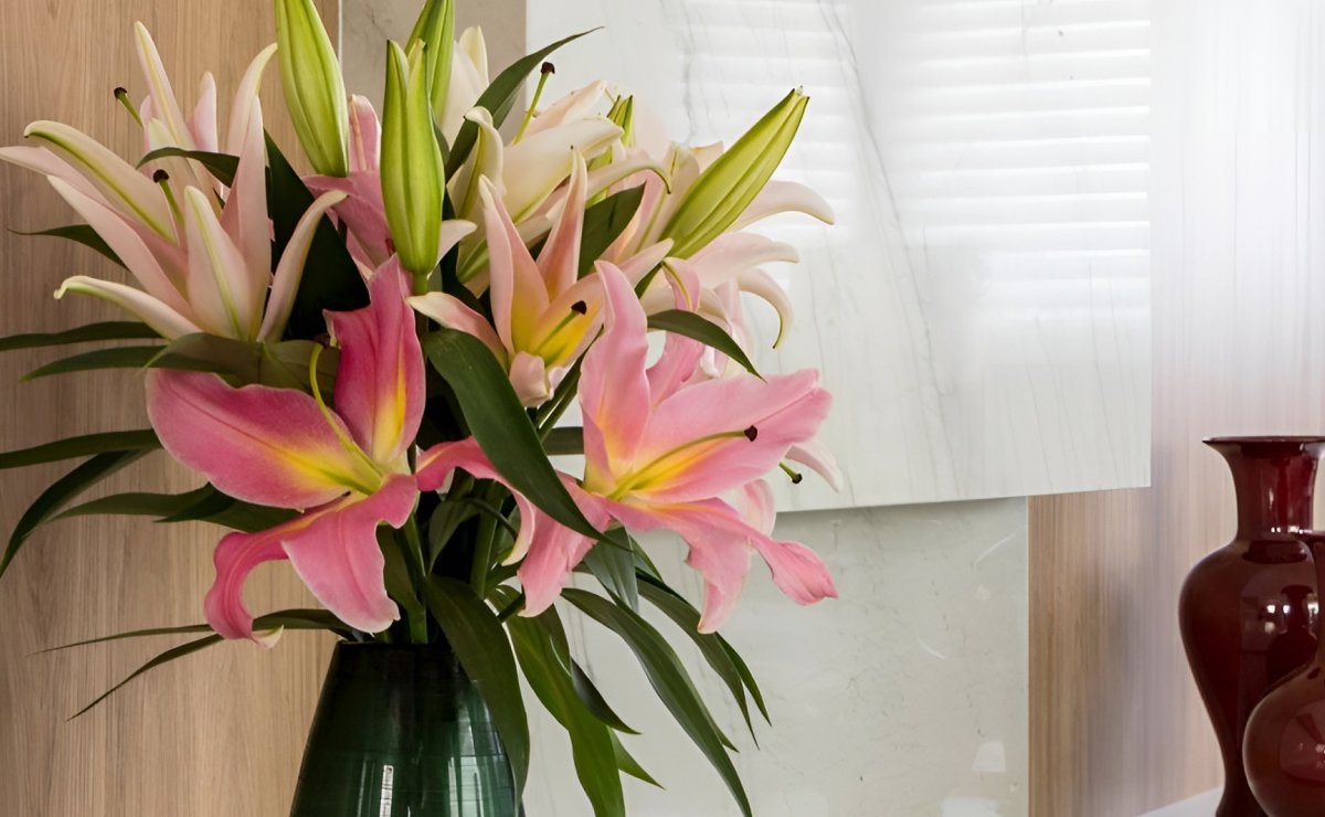 preço lírio branco atacado