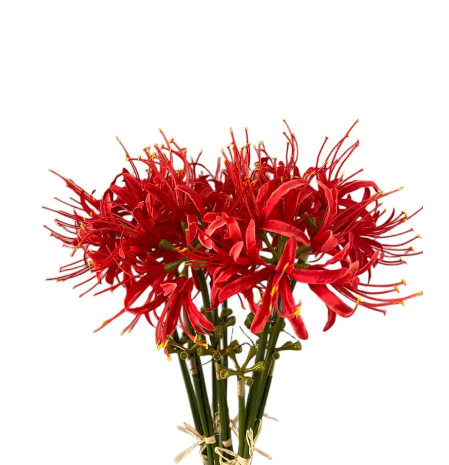flor de cemitério Japão