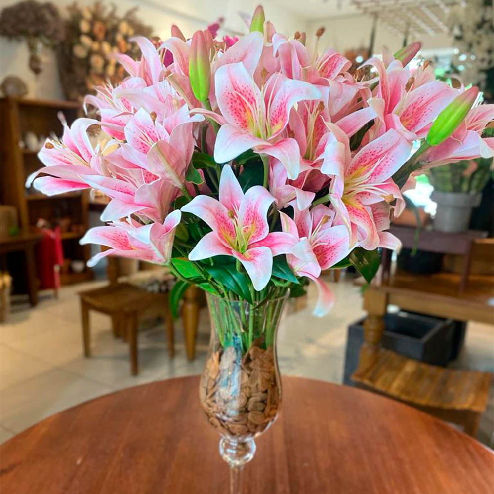 erros comuns ao cuidar de lírio rosa em casa