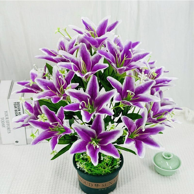 Plantas para apartamento