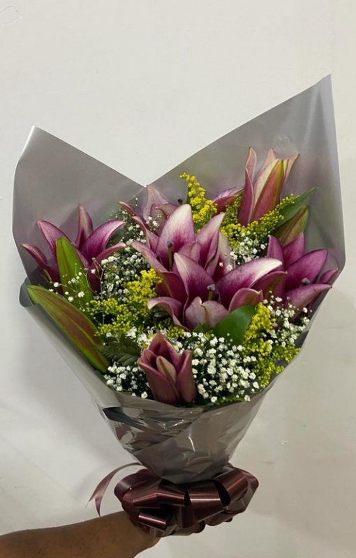 Cultivo de lírio roxo