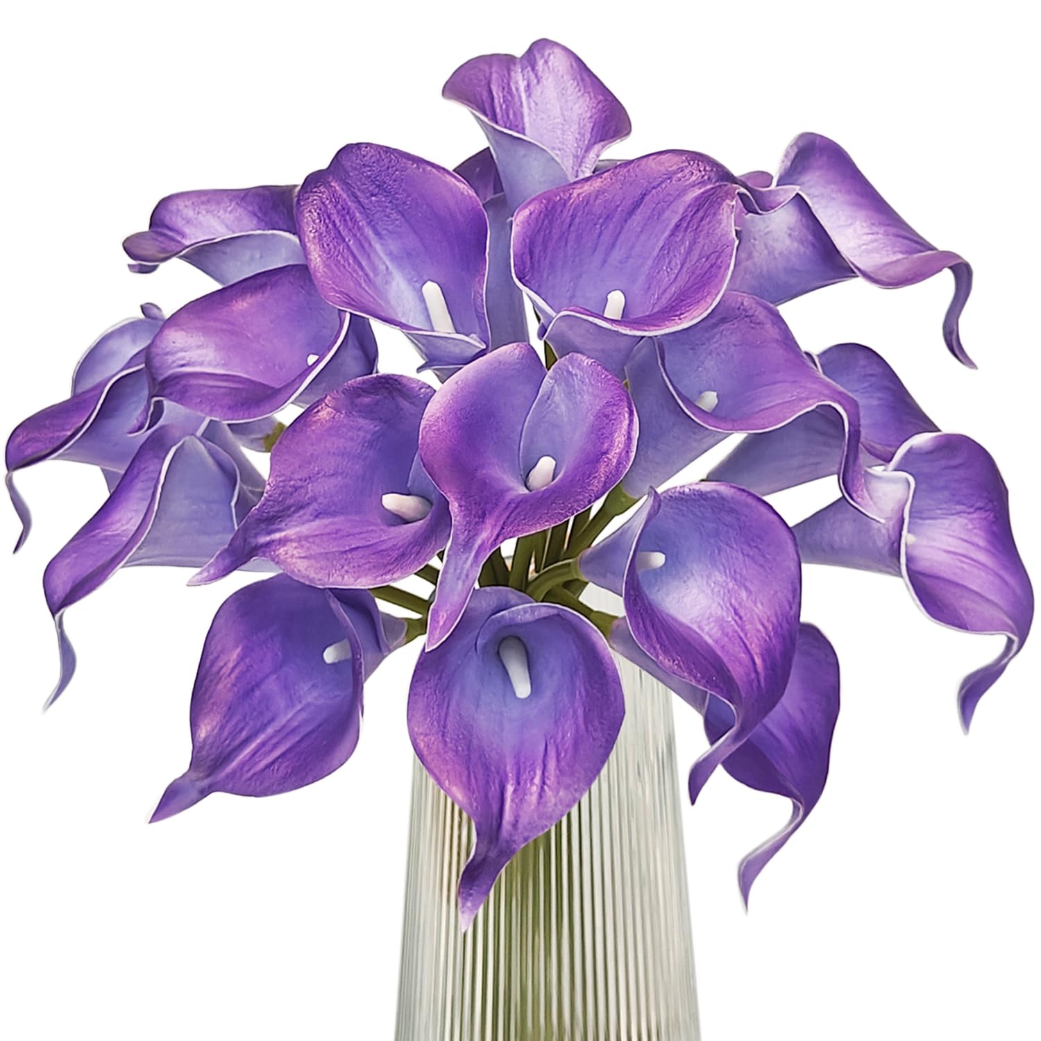 Cultivo de lírio roxo