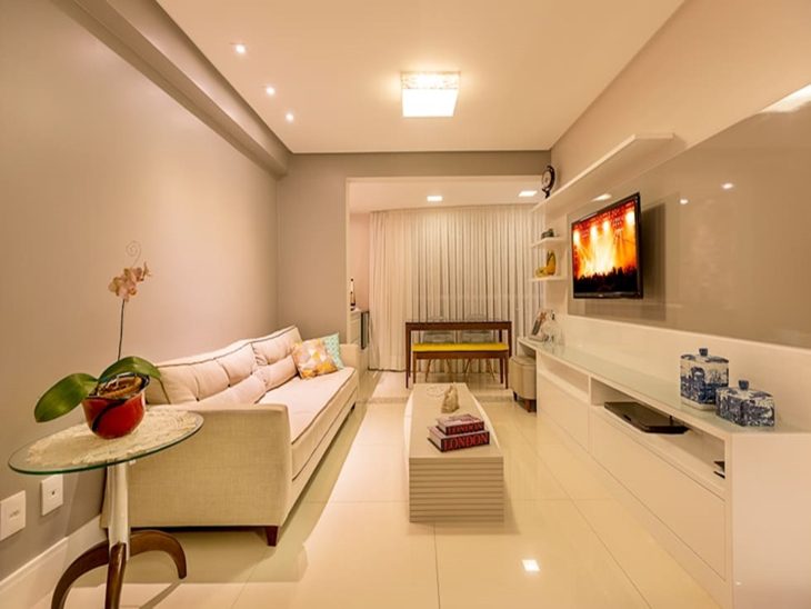 ideias de decoração com lunaria annua