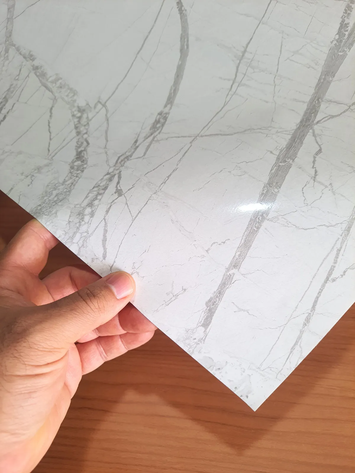 Calacatta Marble Texture