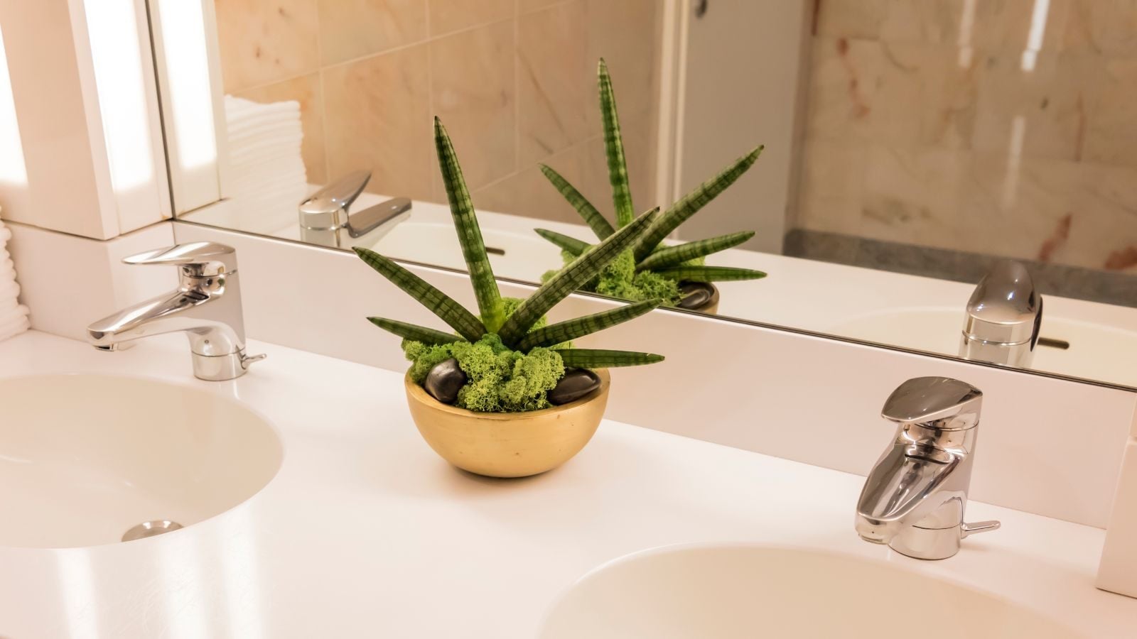 plantas para lavabo sem janela