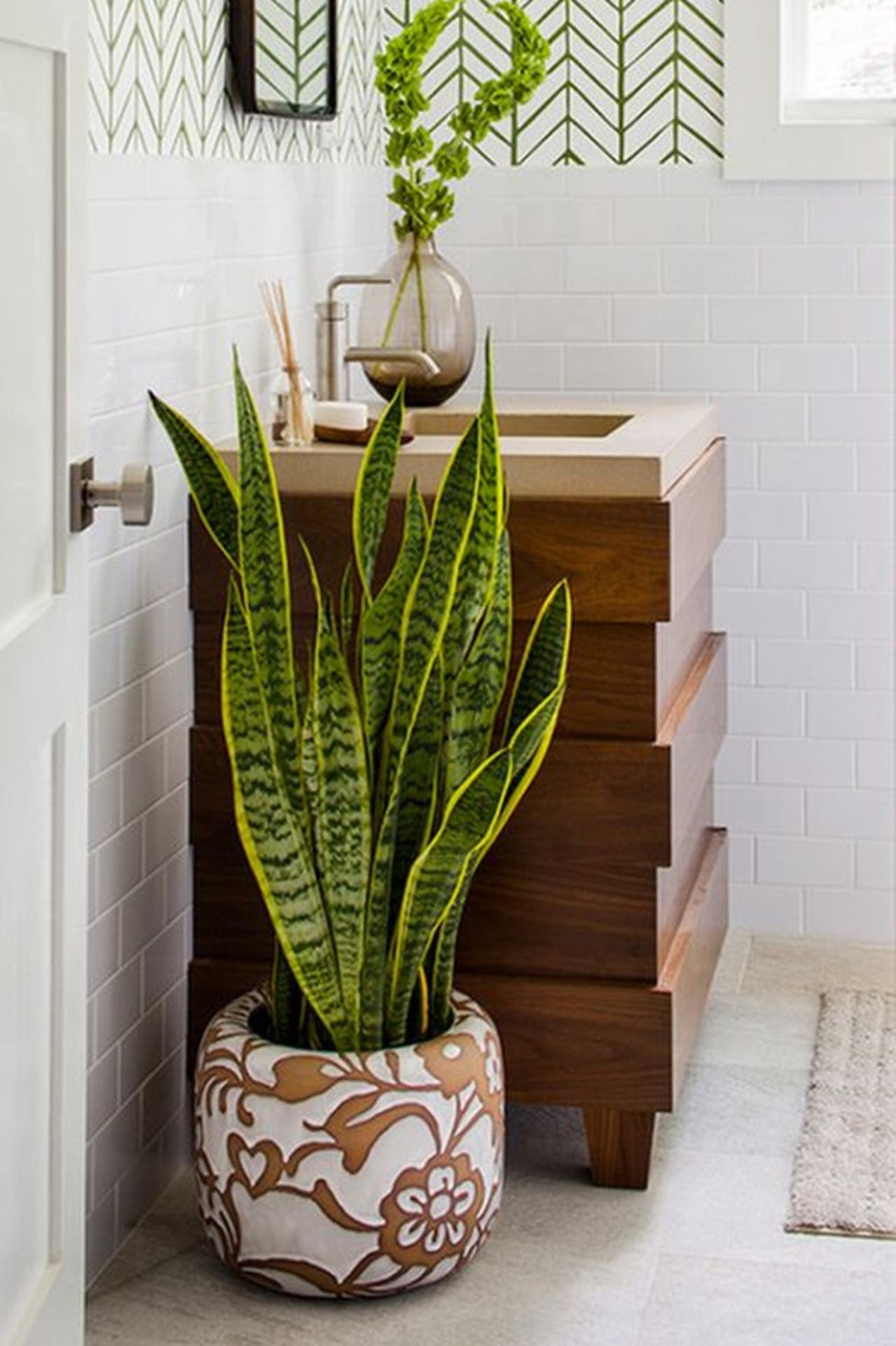 plantas fáceis de cuidar para banheiro