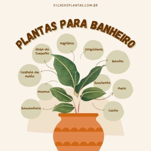 plantas fáceis de cuidar para banheiro