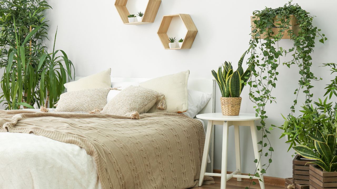 plantas para quarto com alergia
