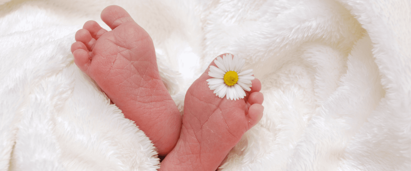 quanto custa registrar um nome de flor incomum