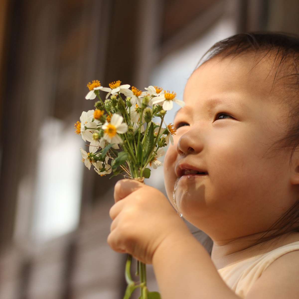 nomes de flores raras para meninas