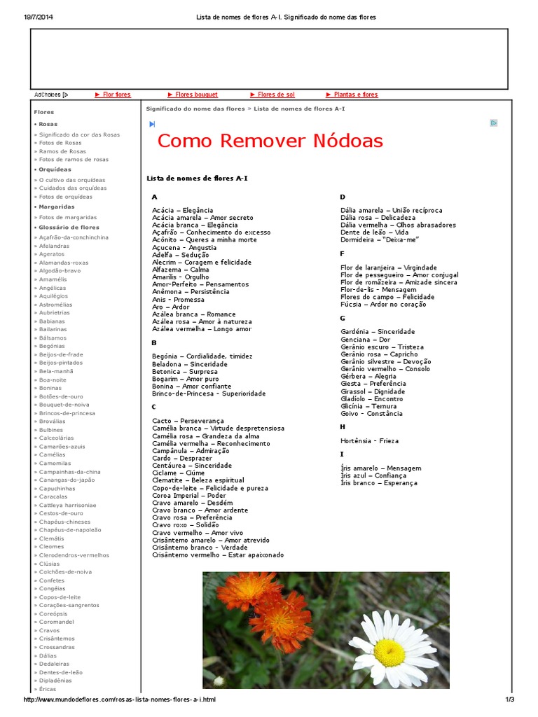 nomes de flores para meninas mais bonitos