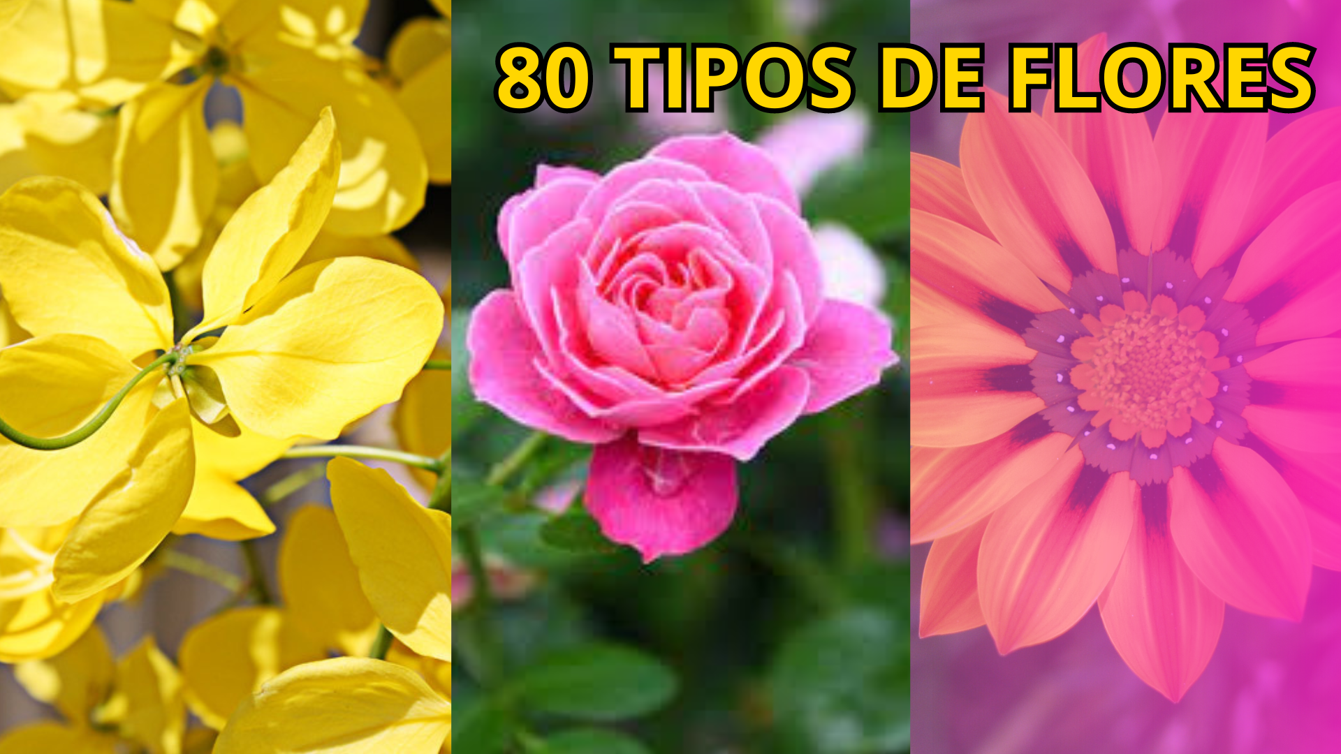 lista de flores raras mais bonitas do mundo
