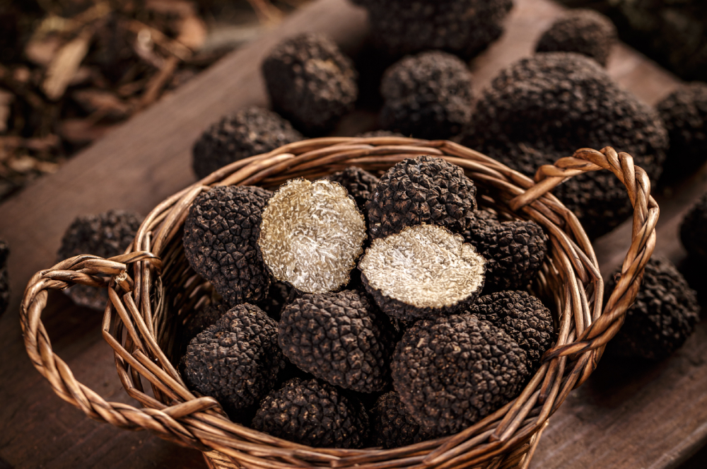 Diamantes da terra gastronomia