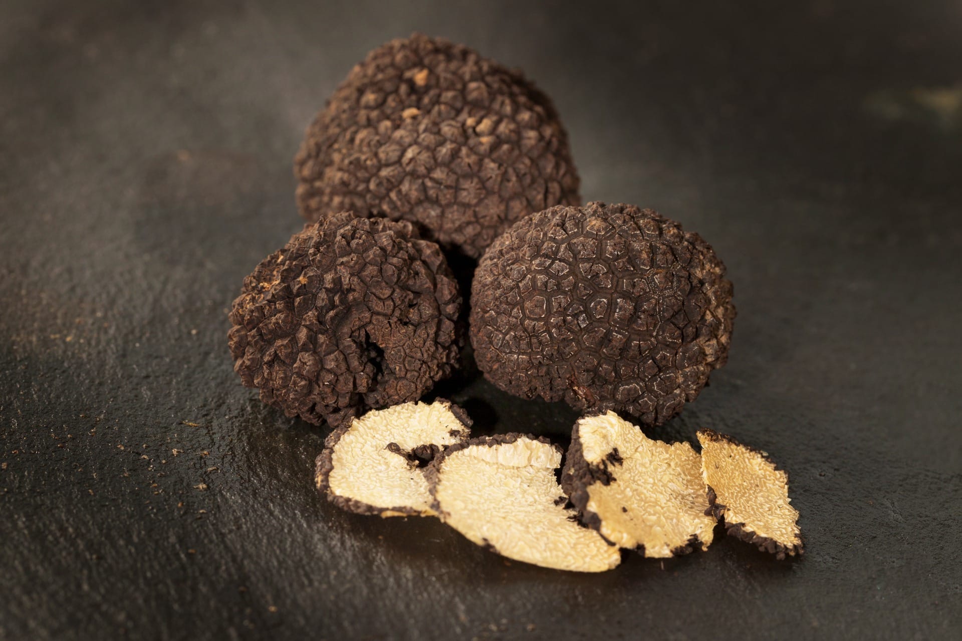 Colheita de trufas com cães