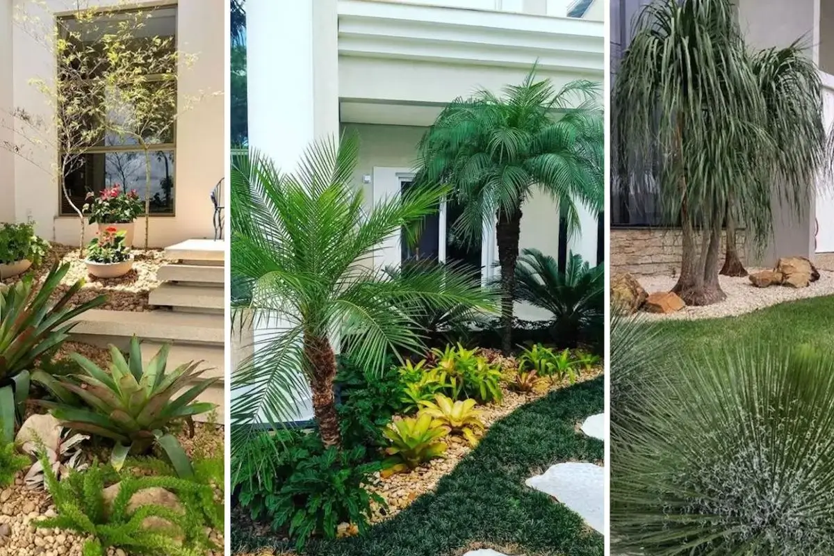 paisagismo frente de casas simples