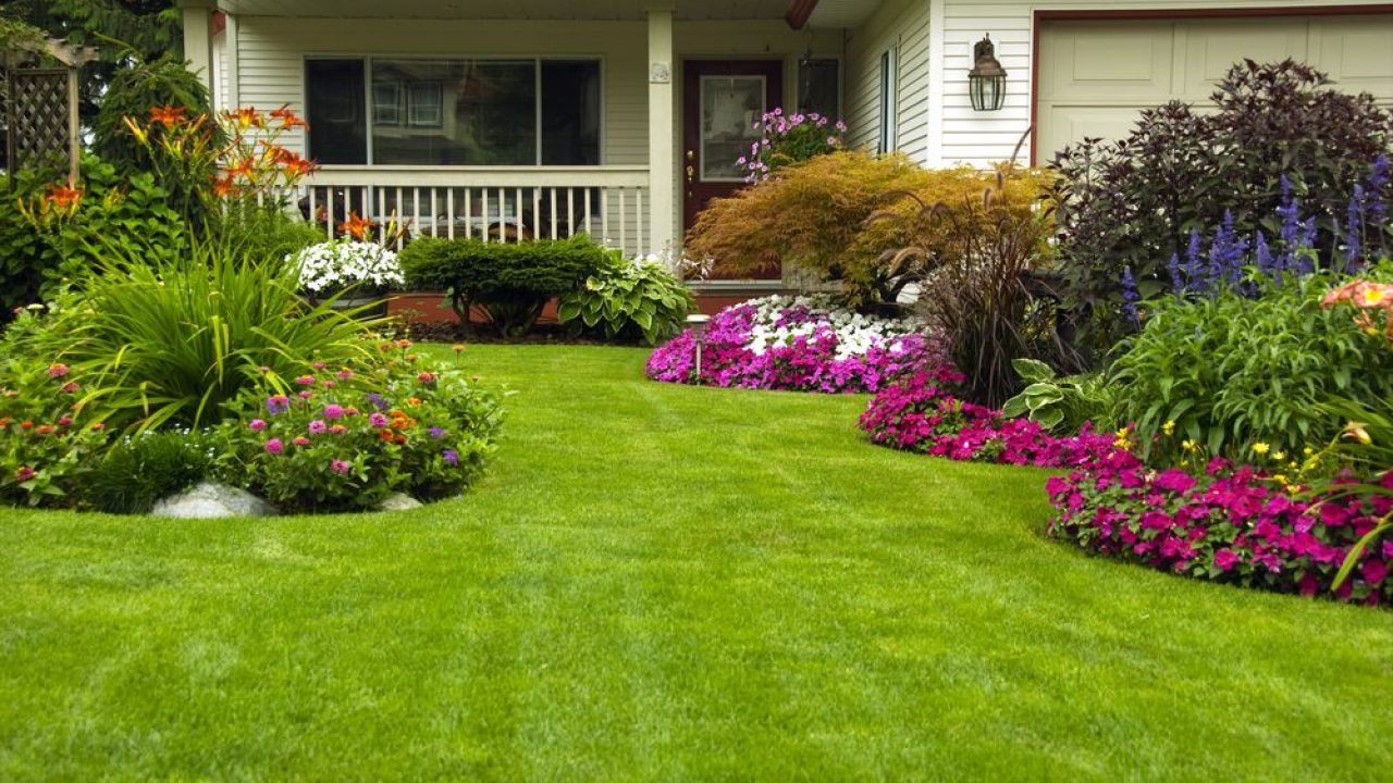 paisagismo jardim
