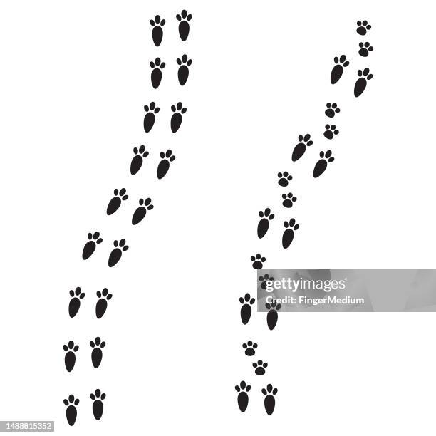 melhores amuletos da sorte pata de coelho