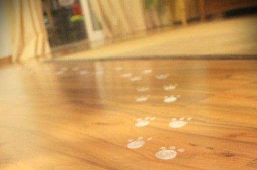 quanto custa uma pata de coelho amuleto