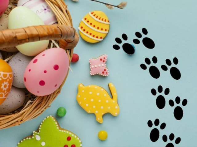 ideias criativas para fazer pegadas de coelho em casa