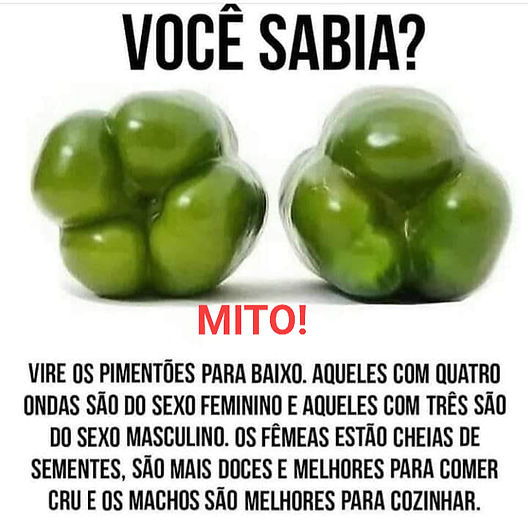 pimentão macho vs fêmea