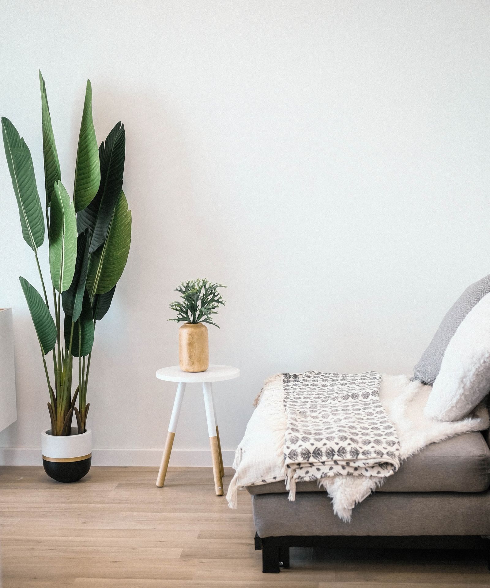 plantas altas para varanda