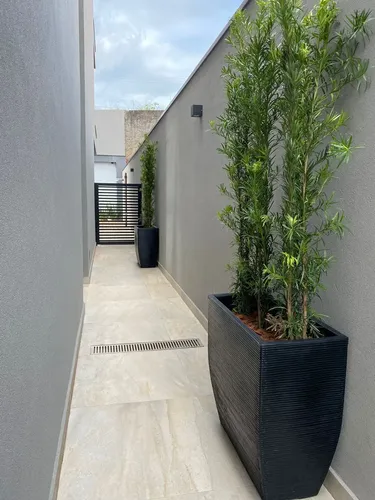 plantas altas para interior
