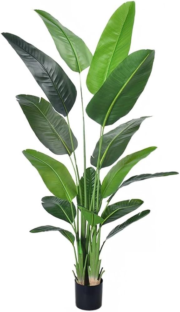 espécies de plantas altas