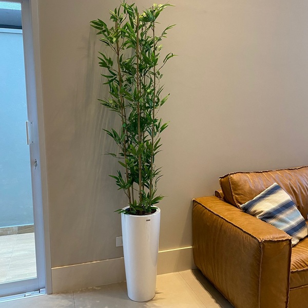 plantas altas para sala