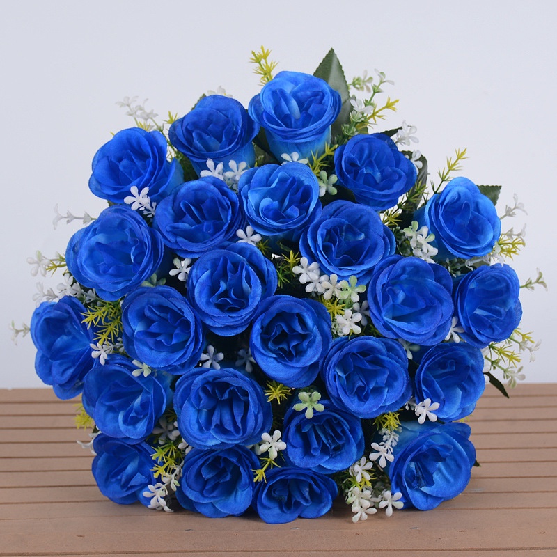 planta buquê de noiva azul para jardim