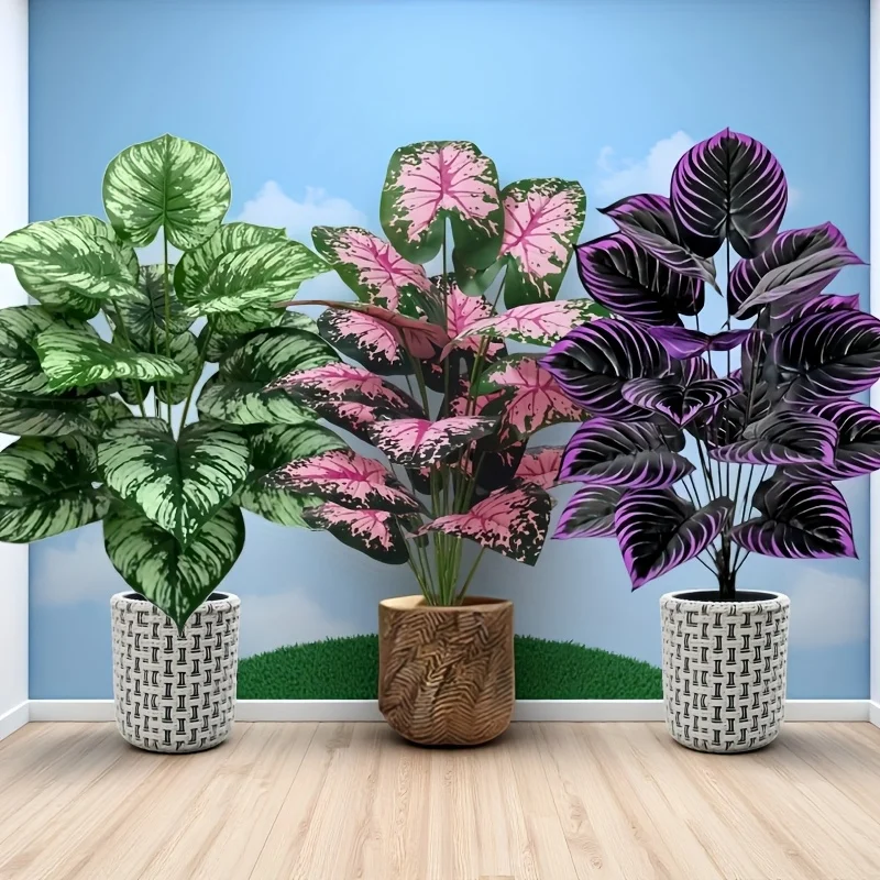 colocasia vs cordyline qual escolher