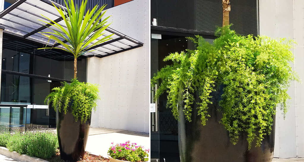 cobertura de solo para áreas ensolaradas