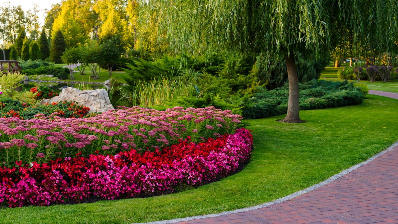plantas para canteiro de muro