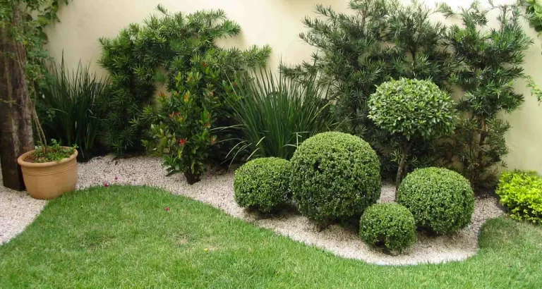 plantas para quintal pequeno