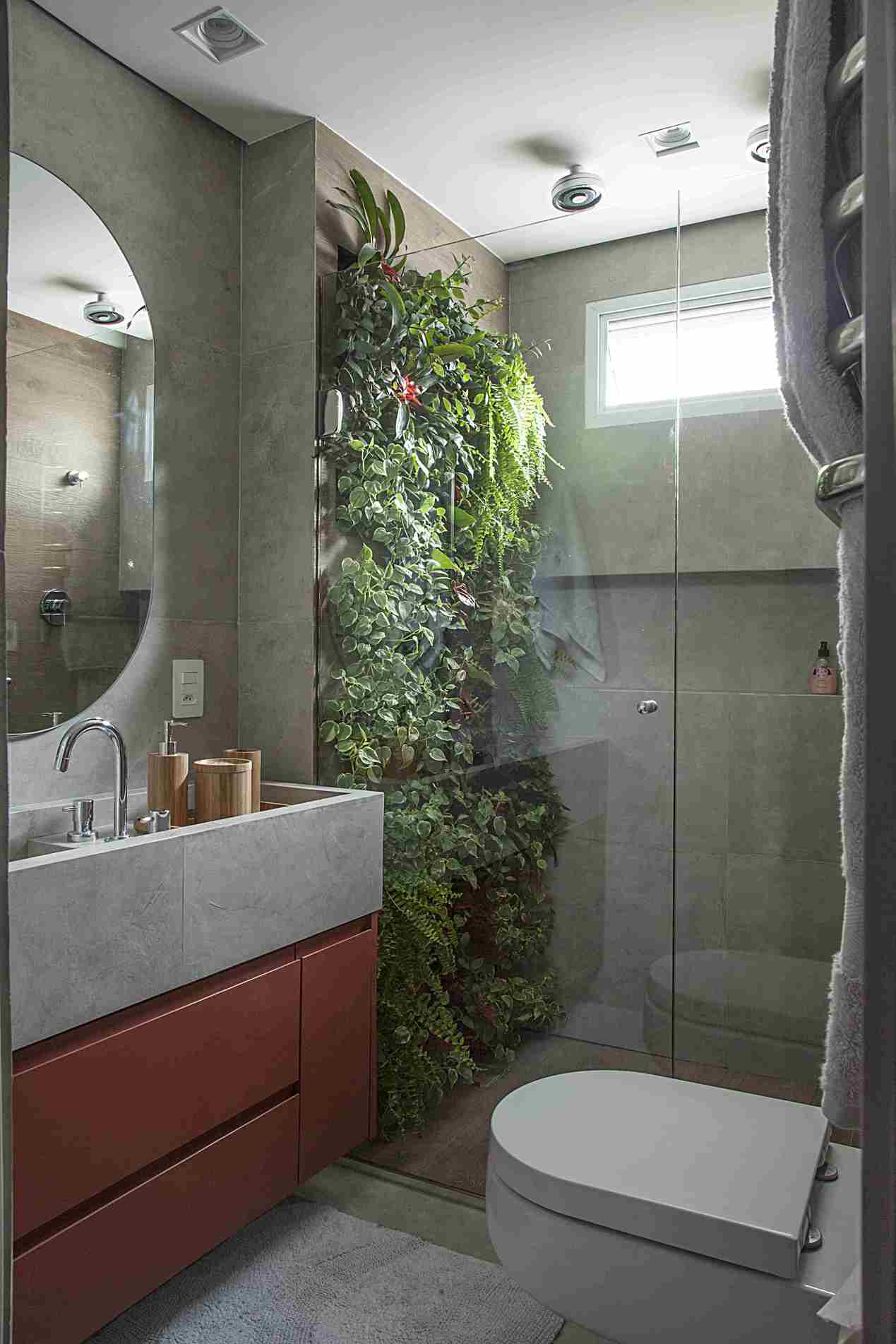 jiboia vs samambaia no banheiro qual escolher