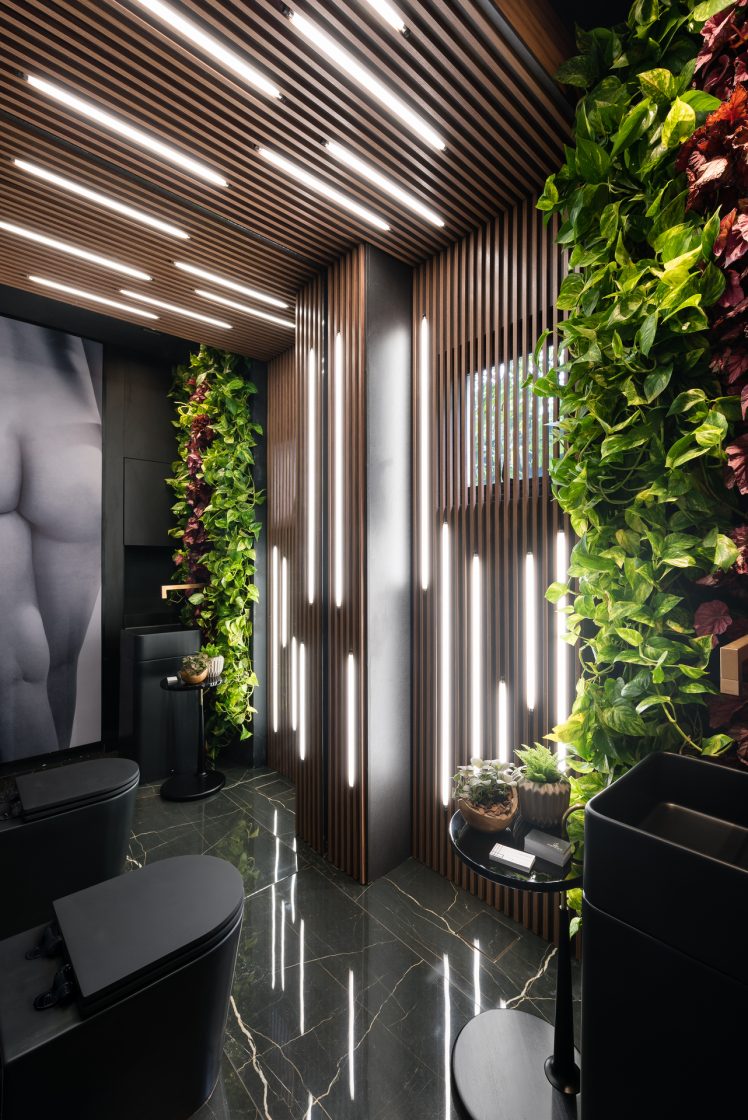 quanto custa uma planta jiboia para o banheiro