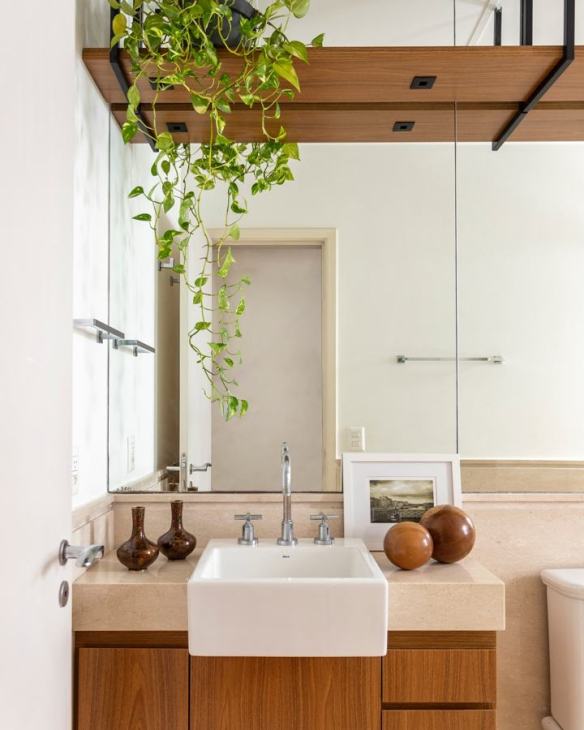 planta jiboia no banheiro