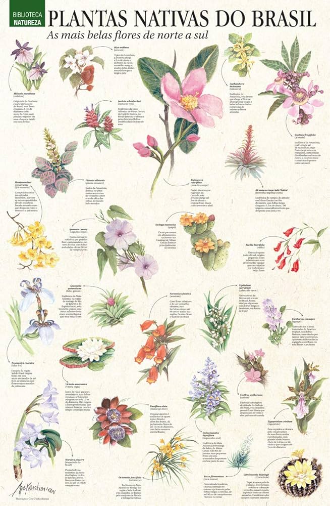 árvores nativas brasileiras