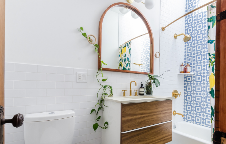 plantas para banheiro sem janela que sobrevivem