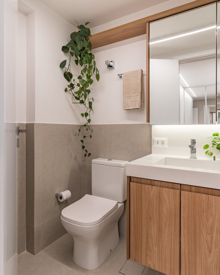 melhores plantas para banheiro pequeno com pouca luz