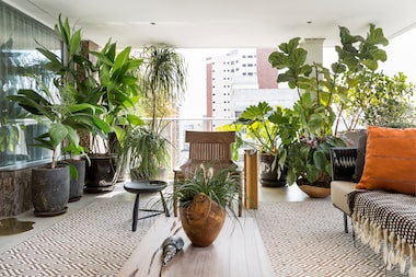 plantas para banheiro