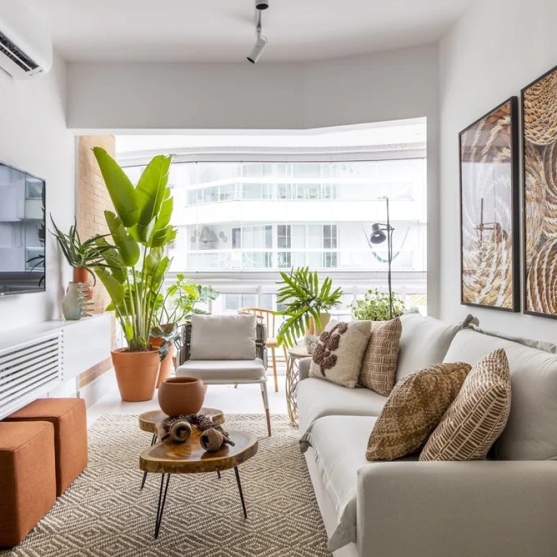 plantas para sala