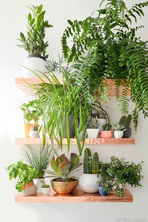plantas para banheiro de apartamento
