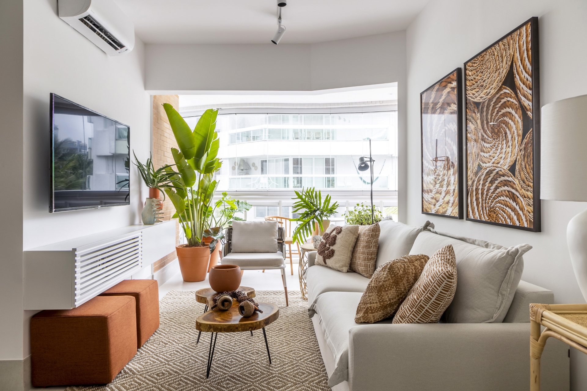 melhores plantas para apartamento com pouco sol