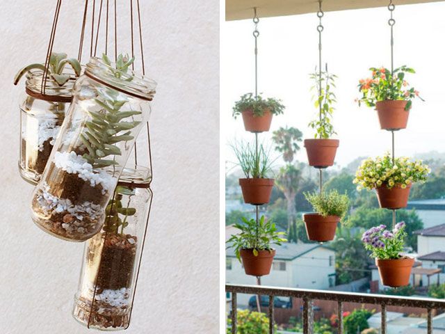 erros comuns ao cuidar de plantas em apartamento