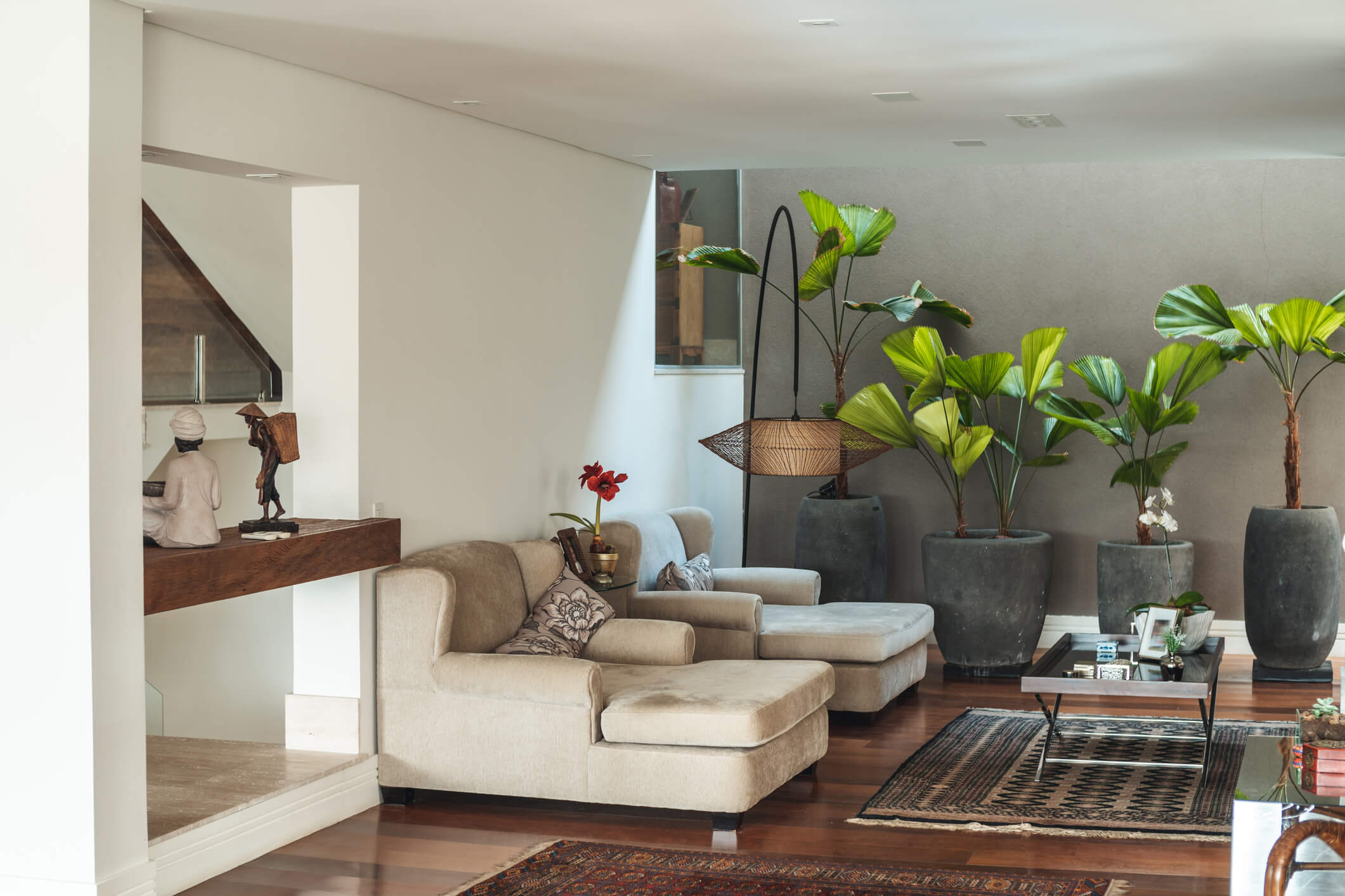 quanto custa ter plantas em apartamento