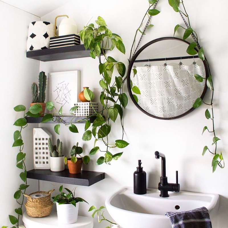 plantas para banheiro sem janela