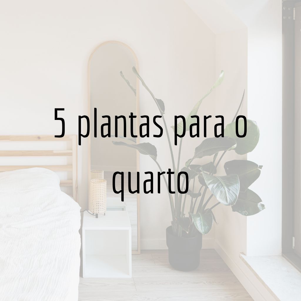 plantas para quarto que ajudam a dormir