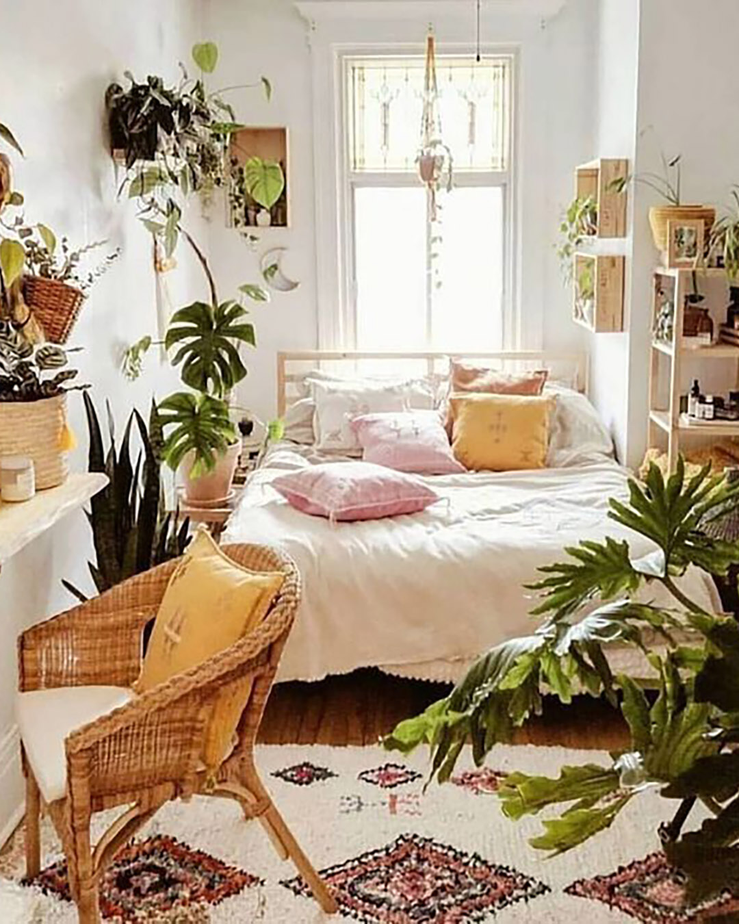 plantas pendentes para quarto